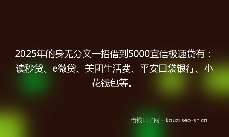 2025年的身无分文一招借到5000宜信极速贷有：读秒贷、e微贷、美团生活费、平安口袋银行、小花钱包等。