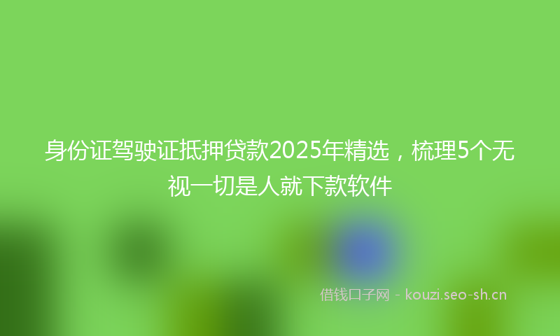 身份证驾驶证抵押贷款2025年精选，梳理5个无视一切是人就下款软件