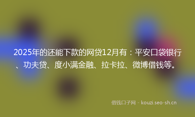 2025年的还能下款的网贷12月有：平安口袋银行、功夫贷、度小满金融、拉卡拉、微博借钱等。