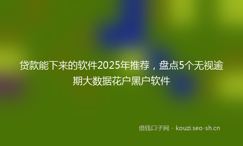 贷款能下来的软件2025年推荐,盘点5个无视逾期大数据花户黑户软件
