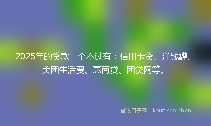 2025年的贷款一个不过有：信用卡贷、洋钱罐、美团生活费、惠商贷、团贷网等。