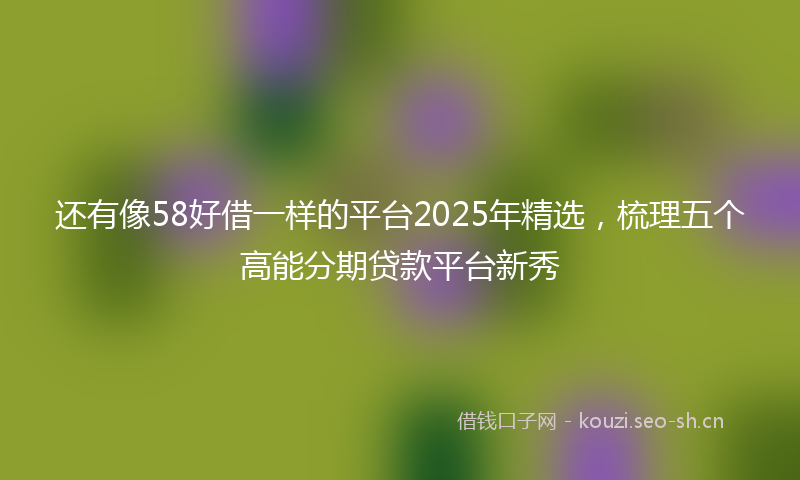 还有像58好借一样的平台2025年精选,梳理五个高能分期贷款平台新秀