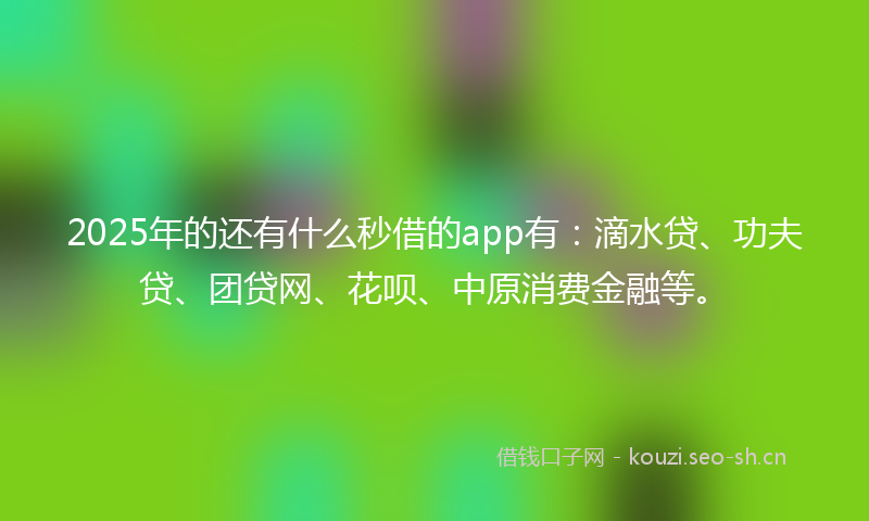 2025年的还有什么秒借的app有：滴水贷、功夫贷、团贷网、花呗、中原消费金融等。