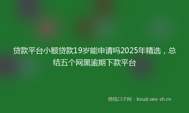 贷款平台小额贷款19岁能申请吗2025年精选，总结五个网黑逾期下款平台