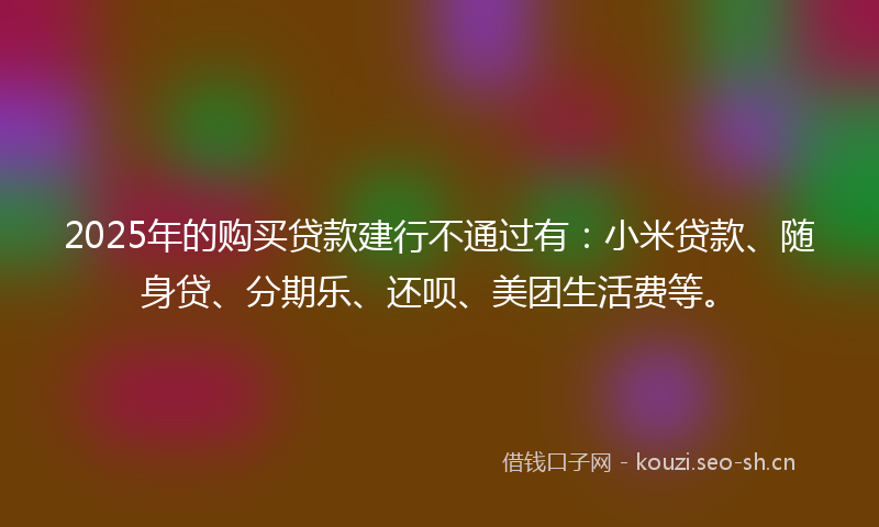 2025年的购买贷款建行不通过有：小米贷款、随身贷、分期乐、还呗、美团生活费等。