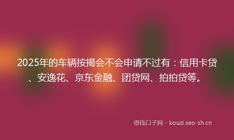 2025年的车辆按揭会不会申请不过有：信用卡贷、安逸花、京东金融、团贷网、拍拍贷等。
