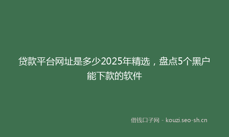 贷款平台网址是多少2025年精选，盘点5个黑户能下款的软件
