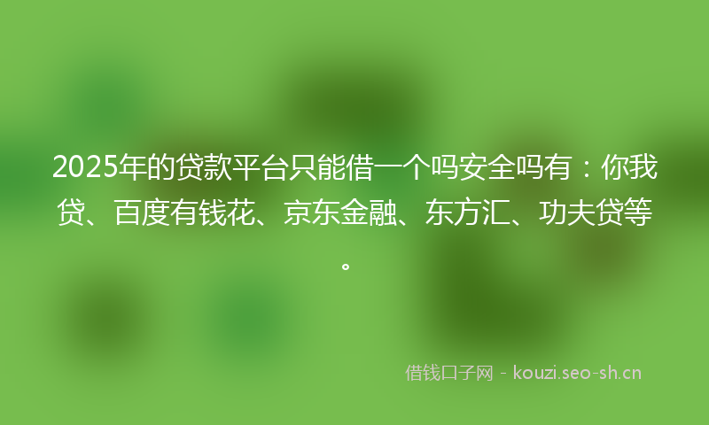 2025年的贷款平台只能借一个吗安全吗有：你我贷、百度有钱花、京东金融、东方汇、功夫贷等。