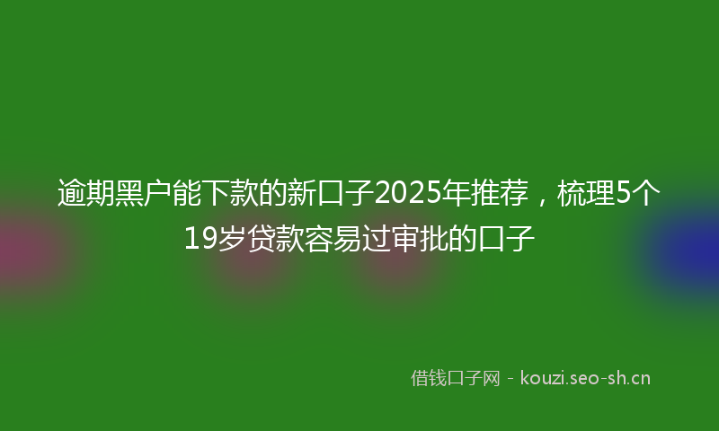 逾期黑户能下款的新口子2025年推荐,梳理5个19岁贷款容易过审批的口子