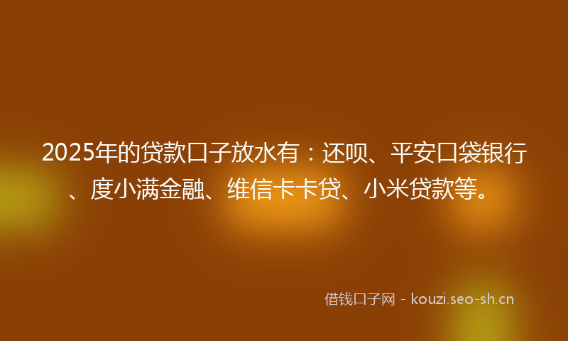 2025年的贷款口子放水有：还呗、平安口袋银行、度小满金融、维信卡卡贷、小米贷款等。