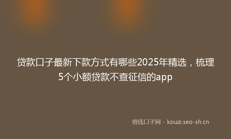 贷款口子最新下款方式有哪些2025年精选，梳理5个小额贷款不查征信的app