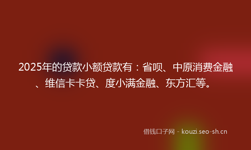2025年的贷款小额贷款有：省呗、中原消费金融、维信卡卡贷、度小满金融、东方汇等。
