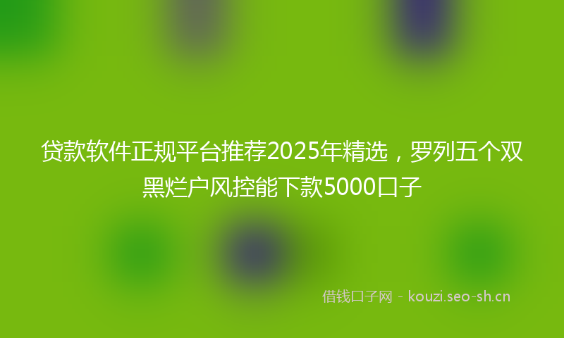 贷款软件正规平台推荐2025年精选，罗列五个双黑烂户风控能下款5000口子