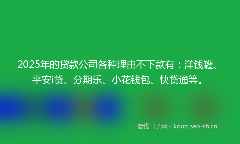 2025年的贷款公司各种理由不下款有：洋钱罐、平安i贷、分期乐、小花钱包、快贷通等。