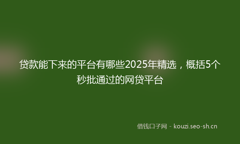 贷款能下来的平台有哪些2025年精选，概括5个秒批通过的网贷平台