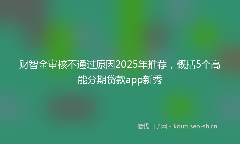 财智金审核不通过原因2025年推荐，概括5个高能分期贷款app新秀