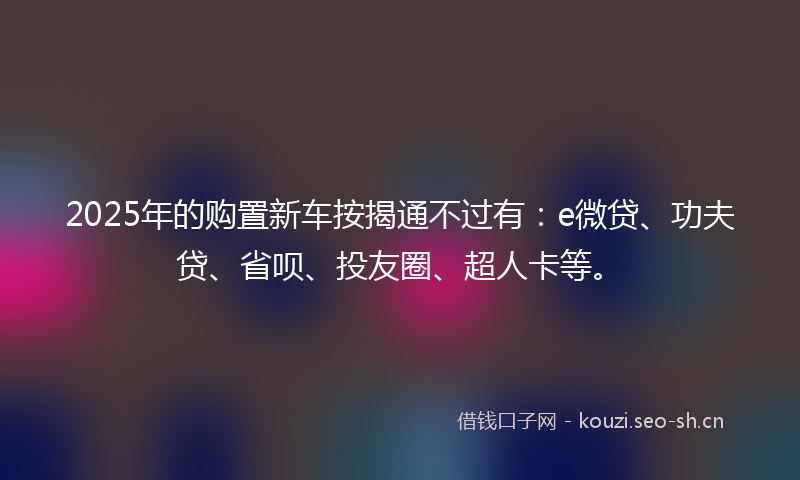 2025年的购置新车按揭通不过有：e微贷、功夫贷、省呗、投友圈、超人卡等。