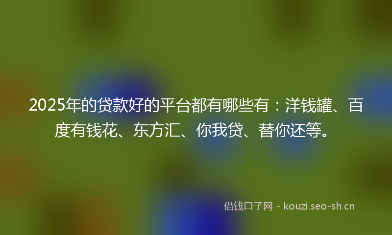 2025年的贷款好的平台都有哪些有：洋钱罐、百度有钱花、东方汇、你我贷、替你还等。