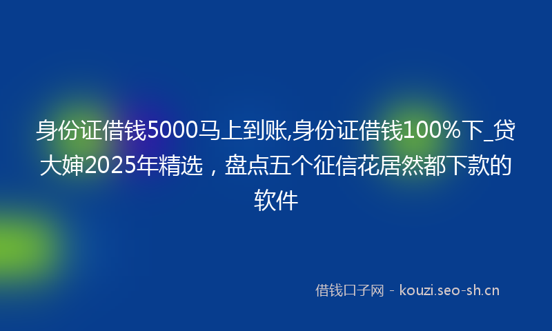身份证借钱5000马上到账,身份证借钱100%下_贷大婶2025年精选，盘点五个征信花居然都下款的软件