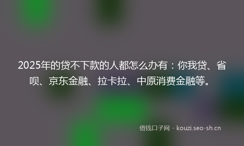 2025年的贷不下款的人都怎么办有：你我贷、省呗、京东金融、拉卡拉、中原消费金融等。