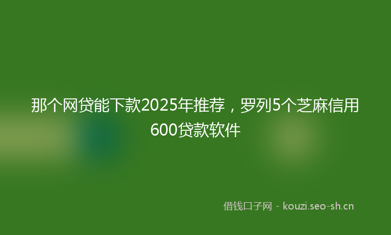 那个网贷能下款2025年推荐，罗列5个芝麻信用600贷款软件