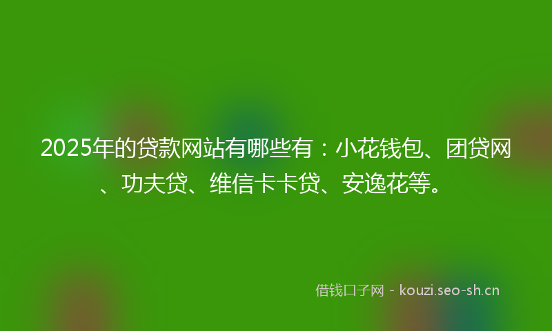2025年的贷款网站有哪些有：小花钱包、团贷网、功夫贷、维信卡卡贷、安逸花等。
