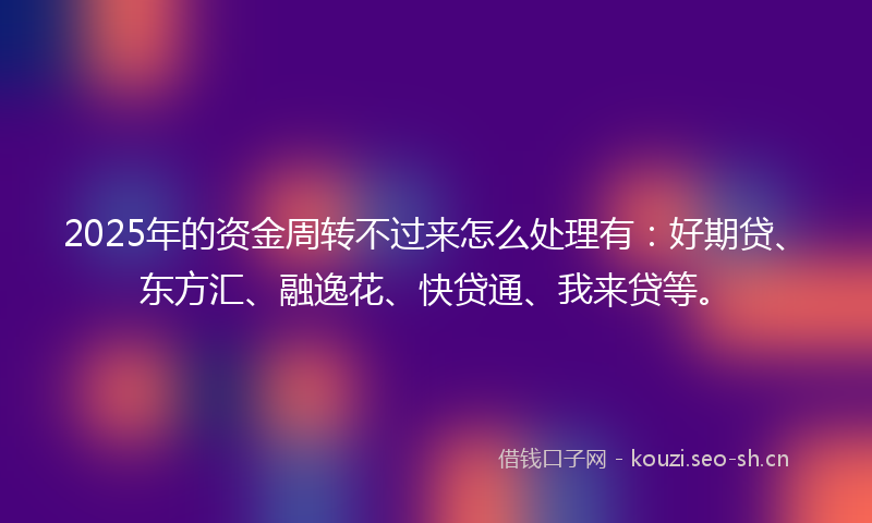 2025年的资金周转不过来怎么处理有：好期贷、东方汇、融逸花、快贷通、我来贷等。