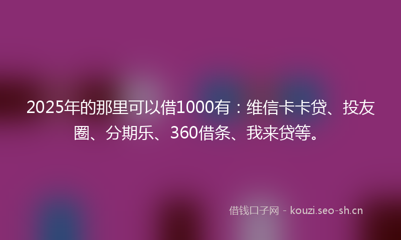 2025年的那里可以借1000有：维信卡卡贷、投友圈、分期乐、360借条、我来贷等。