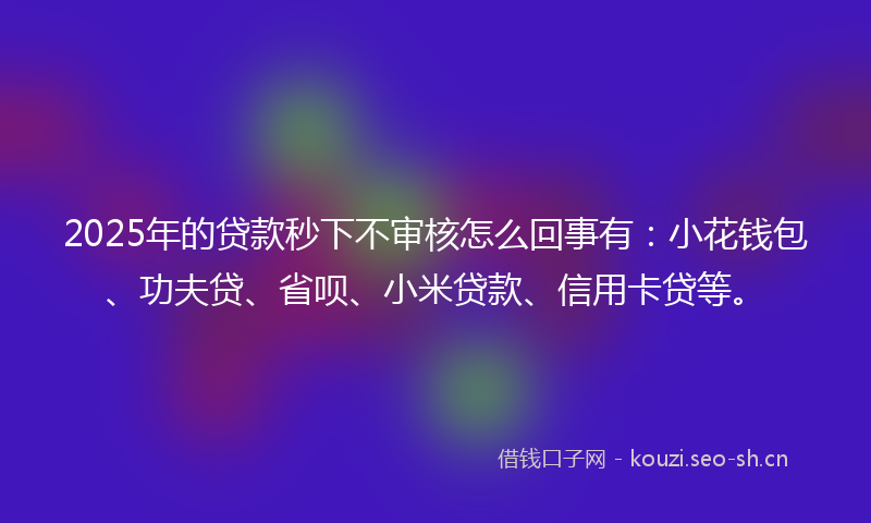 2025年的贷款秒下不审核怎么回事有：小花钱包、功夫贷、省呗、小米贷款、信用卡贷等。