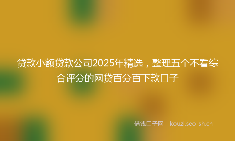 贷款小额贷款公司2025年精选，整理五个不看综合评分的网贷百分百下款口子