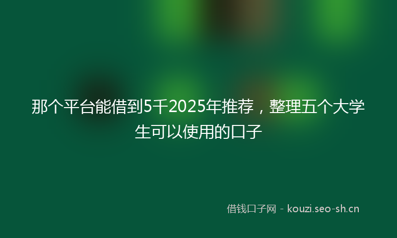 那个平台能借到5千2025年推荐，整理五个大学生可以使用的口子