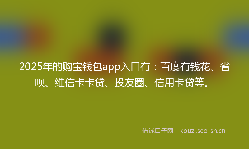 2025年的购宝钱包app入口有：百度有钱花、省呗、维信卡卡贷、投友圈、信用卡贷等。