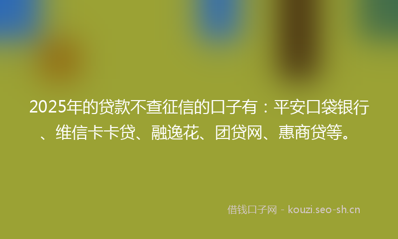 2025年的贷款不查征信的口子有：平安口袋银行、维信卡卡贷、融逸花、团贷网、惠商贷等。