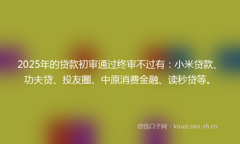 2025年的贷款初审通过终审不过有：小米贷款、功夫贷、投友圈、中原消费金融、读秒贷等。