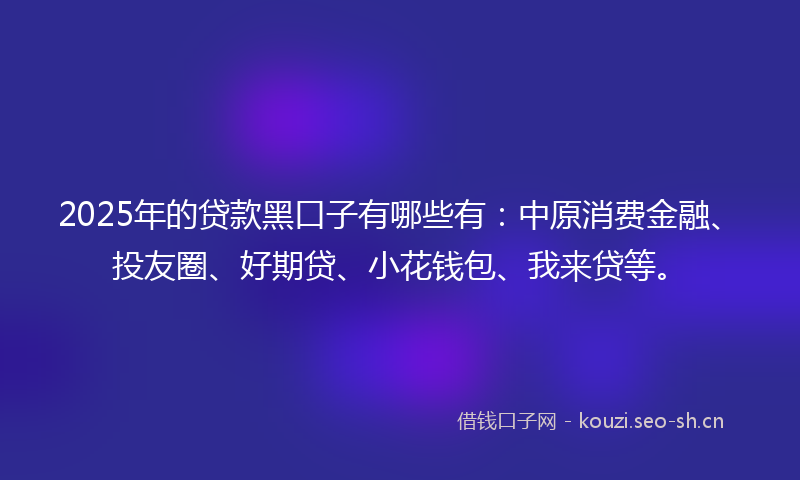 2025年的贷款黑口子有哪些有：中原消费金融、投友圈、好期贷、小花钱包、我来贷等。