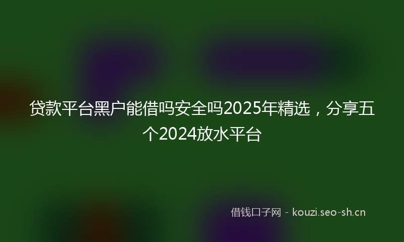 贷款平台黑户能借吗安全吗2025年精选，分享五个2024放水平台