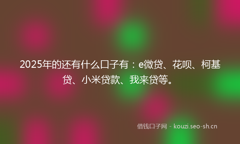 2025年的还有什么口子有：e微贷、花呗、柯基贷、小米贷款、我来贷等。