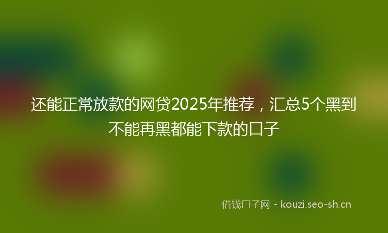 还能正常放款的网贷2025年推荐,汇总5个黑到不能再黑都能下款的口子