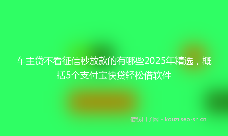 车主贷不看征信秒放款的有哪些2025年精选，概括5个支付宝快贷轻松借软件