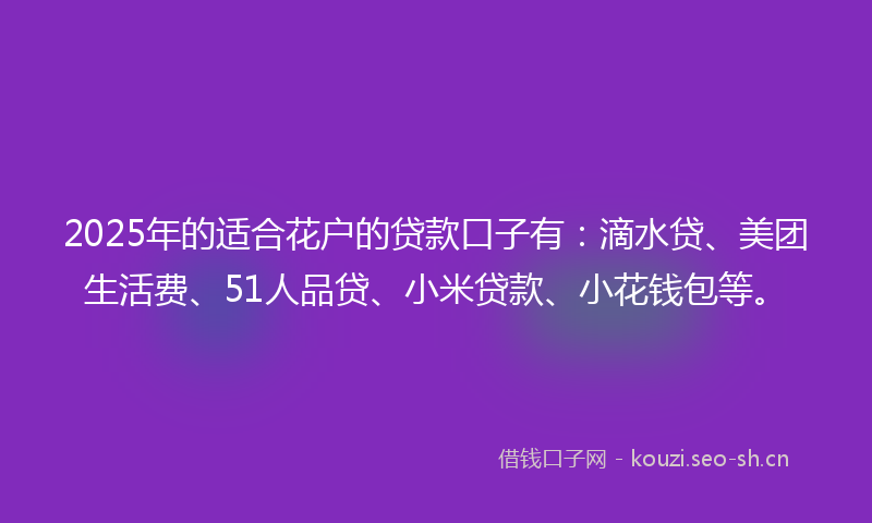 2025年的适合花户的贷款口子有:滴水贷、美团生活费、51人品贷、小米贷款、小花钱包等。
