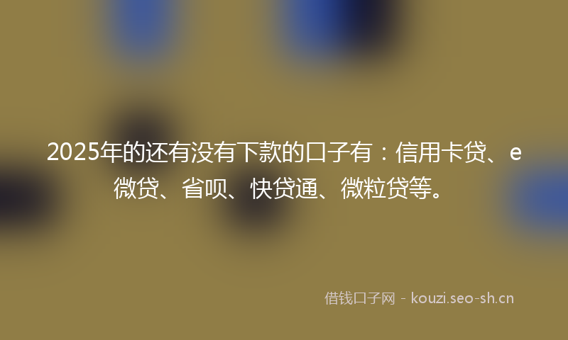 2025年的还有没有下款的口子有：信用卡贷、e微贷、省呗、快贷通、微粒贷等。