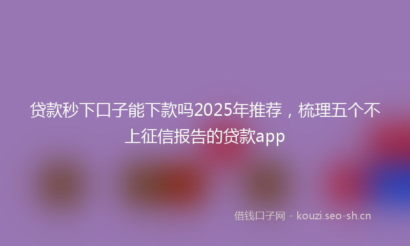 贷款秒下口子能下款吗2025年推荐，梳理五个不上征信报告的贷款app