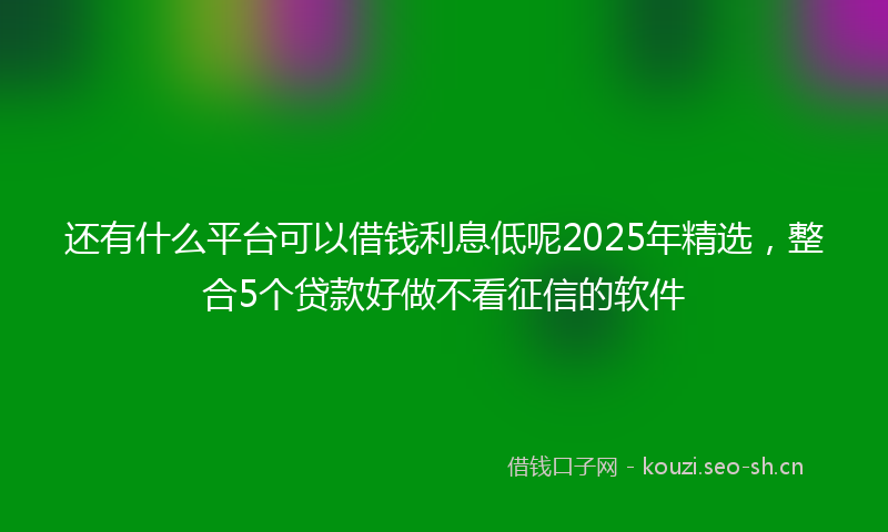 还有什么平台可以借钱利息低呢2025年精选，整合5个贷款好做不看征信的软件