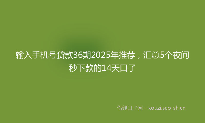 输入手机号贷款36期2025年推荐，汇总5个夜间秒下款的14天口子