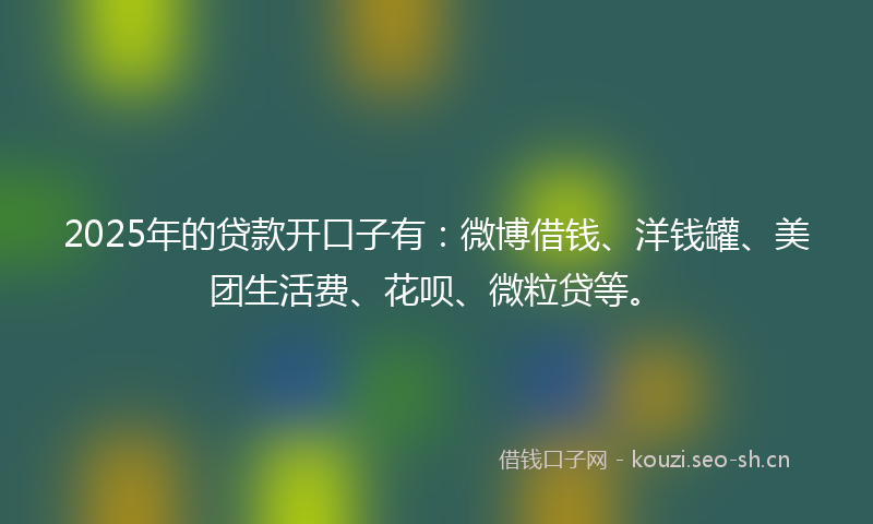 2025年的贷款开口子有：微博借钱、洋钱罐、美团生活费、花呗、微粒贷等。