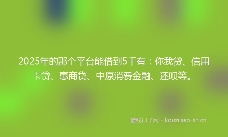 2025年的那个平台能借到5千有：你我贷、信用卡贷、惠商贷、中原消费金融、还呗等。