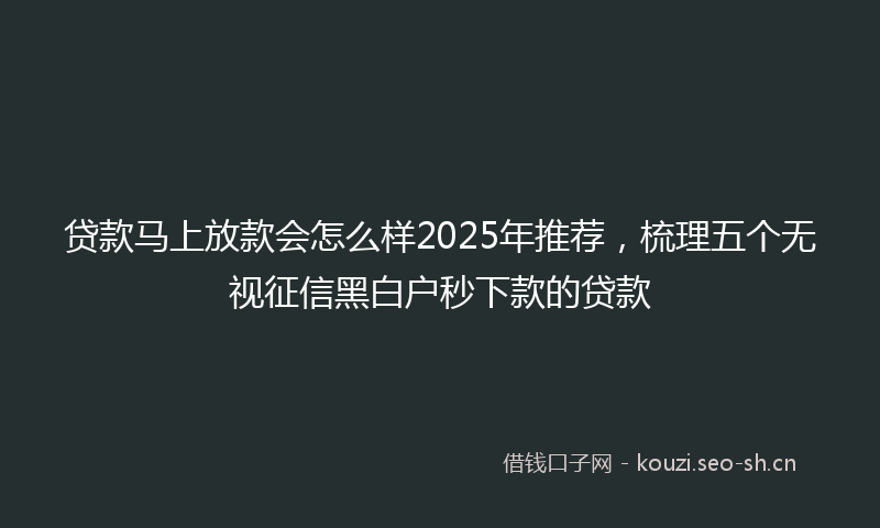 贷款马上放款会怎么样2025年推荐,梳理五个无视征信黑白户秒下款的贷款