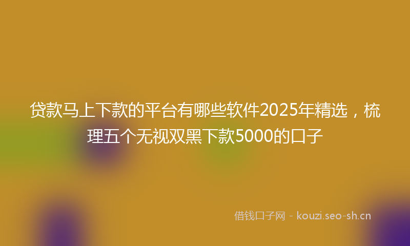 贷款马上下款的平台有哪些软件2025年精选，梳理五个无视双黑下款5000的口子