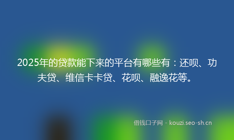 2025年的贷款能下来的平台有哪些有：还呗、功夫贷、维信卡卡贷、花呗、融逸花等。