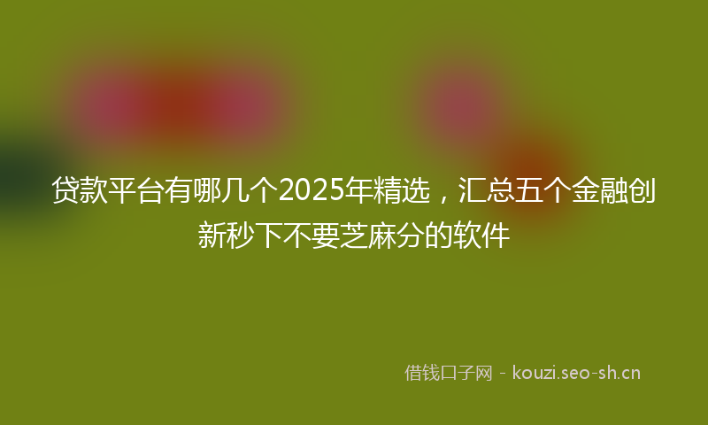 贷款平台有哪几个2025年精选，汇总五个金融创新秒下不要芝麻分的软件